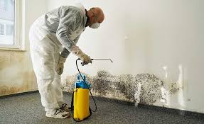 Wauna, WA Mold Removal Company