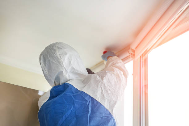 Best Mold Damage Restoration in Una, WA