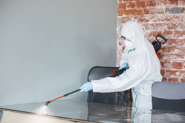 Best Mold Removal for HVAC Installations in Una, WA